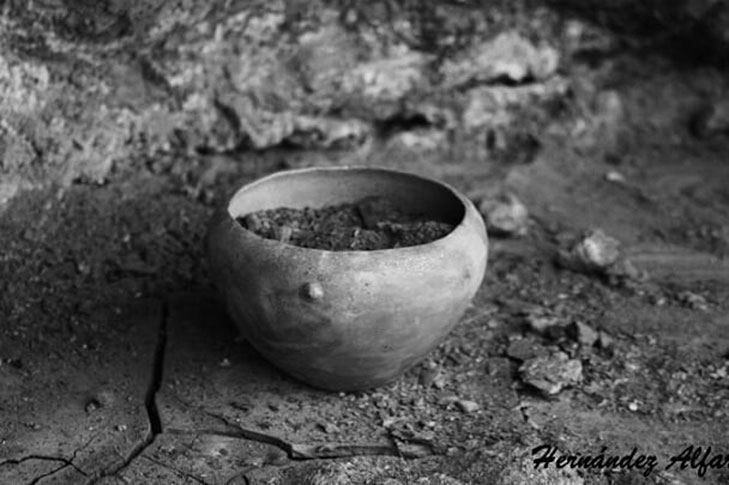 ALFARER�A ROMERO Y HERN�NDEZ