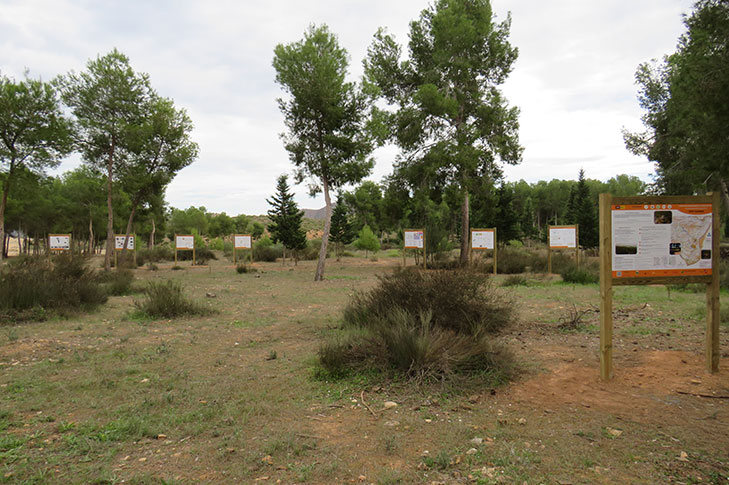 CPO-MU 2 COTO CUADROS (MURCIA)