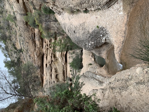 RESERVA NATURAL FLUVIAL R�O CH�CAMO