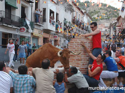 FIESTAS DEL SANT�SIMO CRISTO DEL RAYO