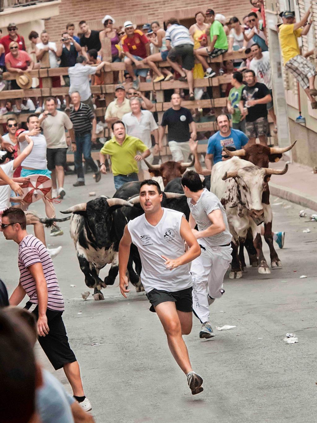ENCIERRO DE TOROS