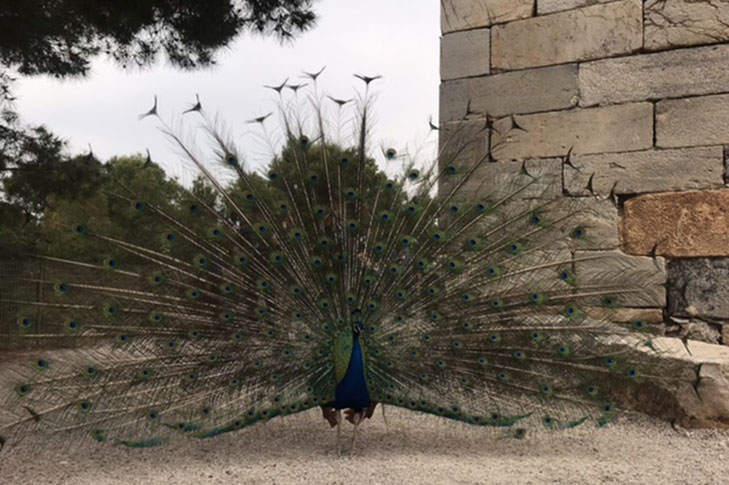 REGI�N DE MURCIA GUIADA 