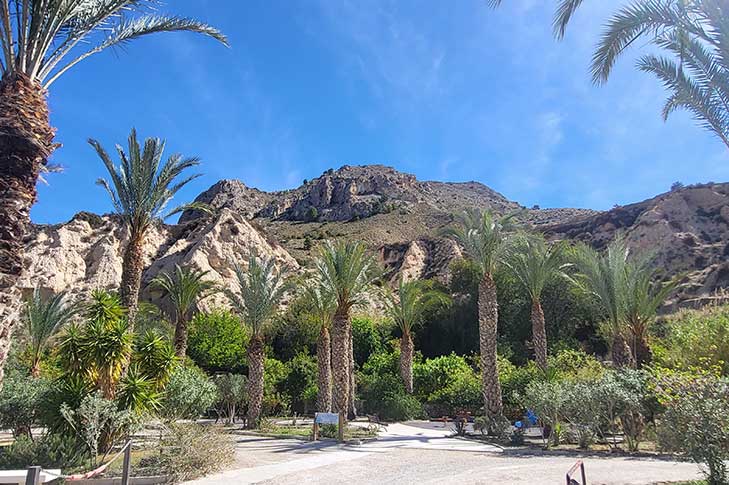 JARD�N DE LA ESTACI�N DE AFOROS