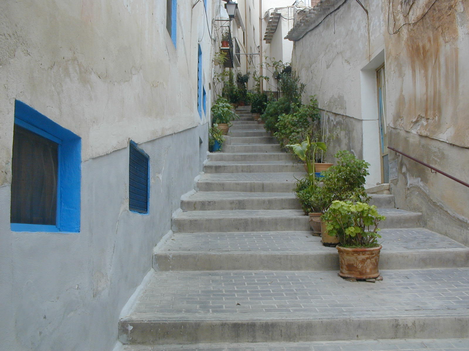 CALLEJ�N DE LAS FLORES