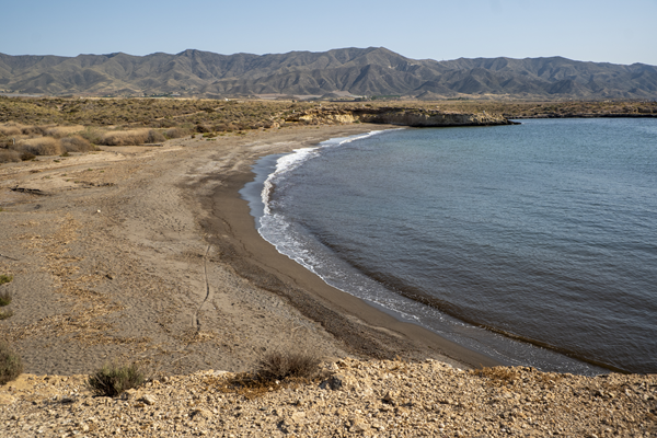 PLAYA DEL POCICO DEL ANIMAL