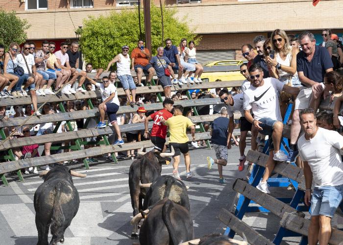 ENCIERRO DE TOROS