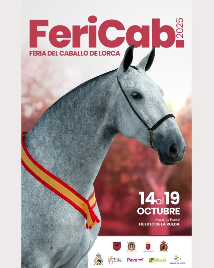 FERICAB FERICAB