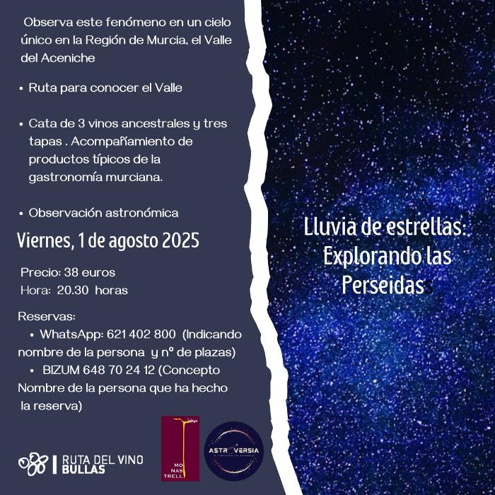 LLUVIA DE ESTRELLAS CON DEGUSTACIN DE VINOS