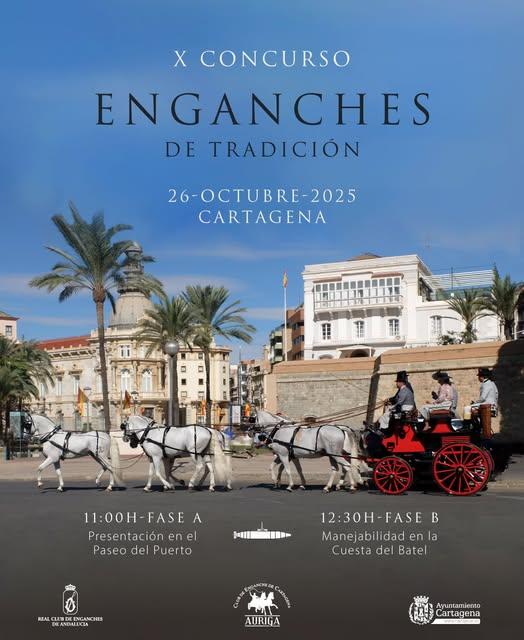 X CONCURSO DE ENGANCHES DE CABALLOS X CONCURSO DE ENGANCHES DE CABALLOS