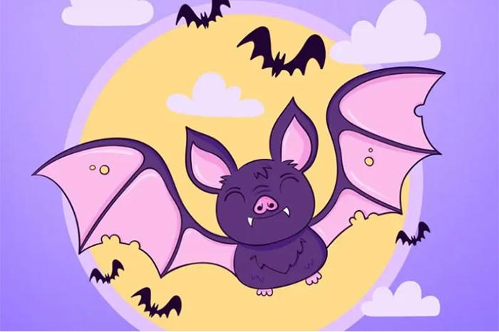 Cuentacuentos y Taller Alas en la oscuridad en Calblanque Cuentacuentos y Taller Alas en la oscuridad en Calblanque