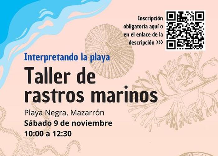 Taller de rastros marinos