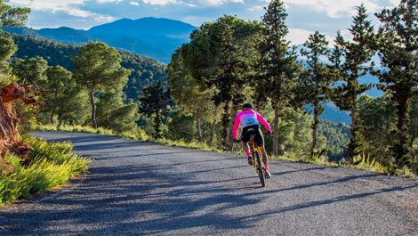 Ms informacin Murcia