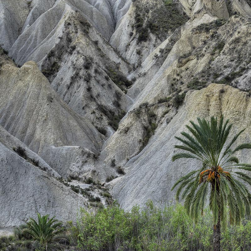 Senderismo y naturaleza en el Ro Chcamo