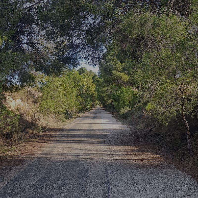 Ruta por las Vas Verdes