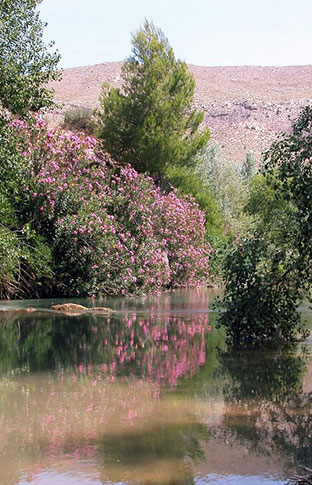 Actividad en Reserva Natural de Caaverosa