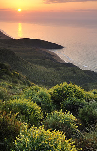 Los ambientes de las Aves en Calblanque