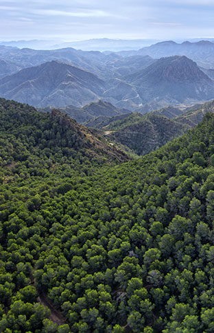 Actividades en El Valle