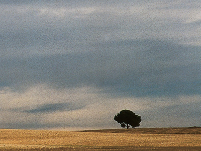 Ruta del Vino en Yecla