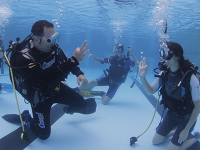 Buceo La Manga Isla Grosa